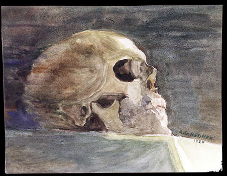 Watercolour death's-head - 1920 -
